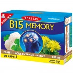 B15 MEMORY