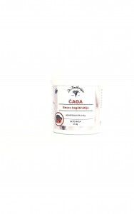 Chaga (in capsules) N 60